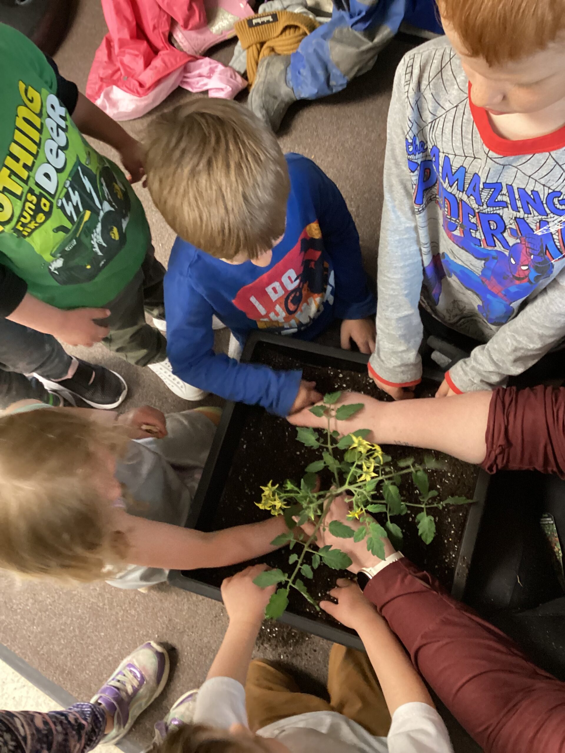 children placing a plant into soil inside